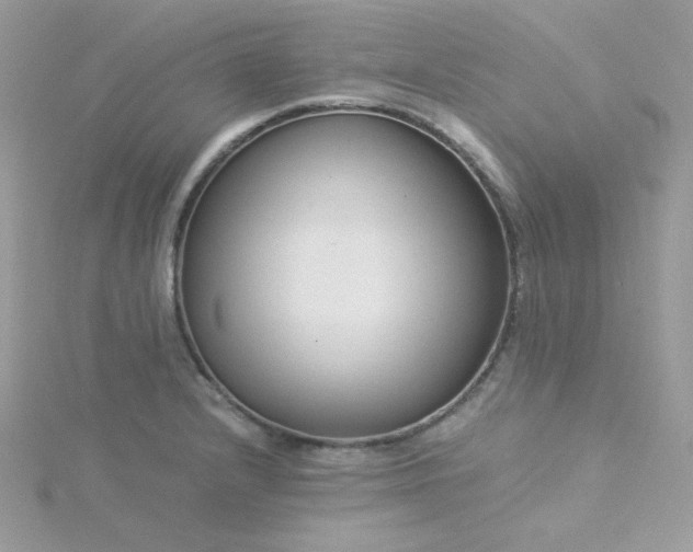 X0000115821232200911271131