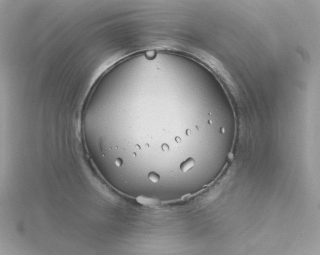 X0000115821234200911271131