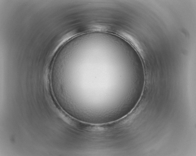 X0000115821235200911271131