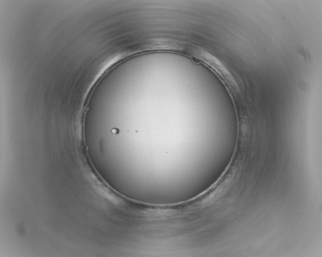 X0000115821236200911271131