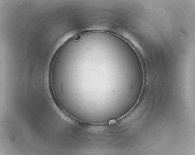 X0000115821237200911271131