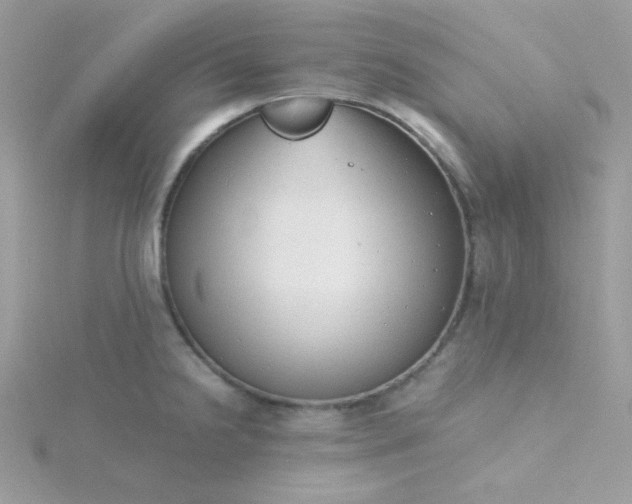 X0000115821238200911271131