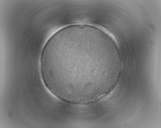 X0000115821239200911271131