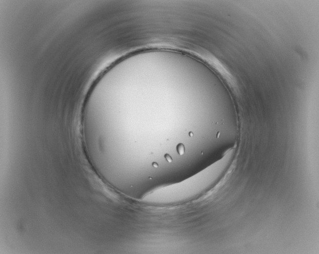 X0000115821240200911271131