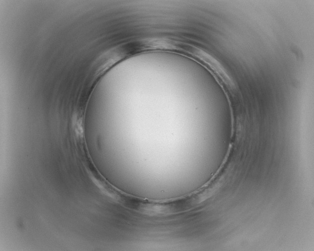 X0000115821241200911271131