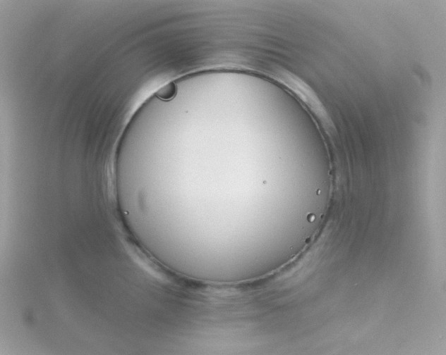 X0000115821242200911271131