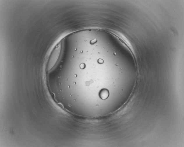 X0000115821243200911271131