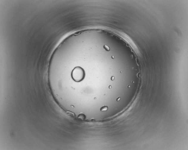 X0000115821244200911271131