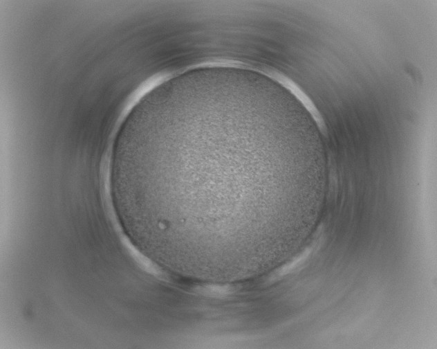 X0000115821245200911271131