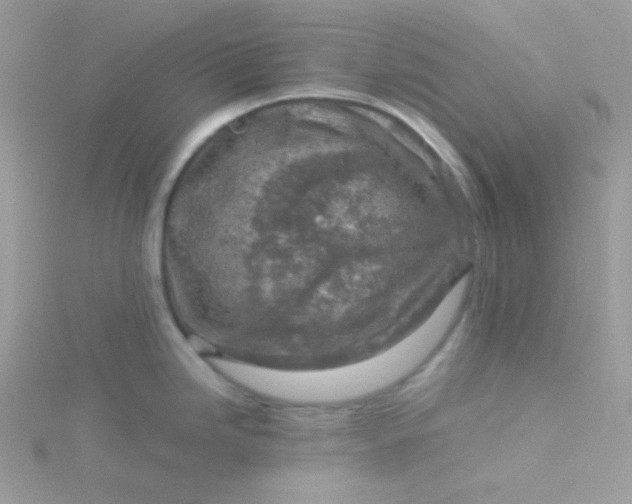 X0000115821246200911271131