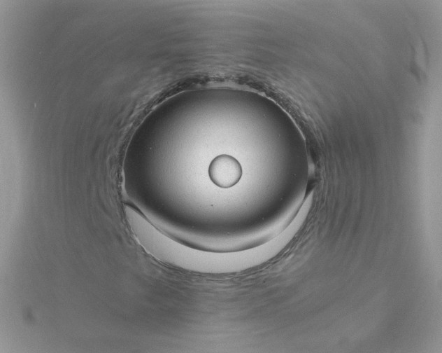 X0000115821249200911271130