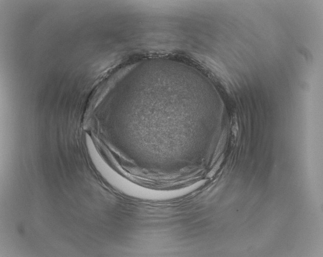 X0000115821252200911271130