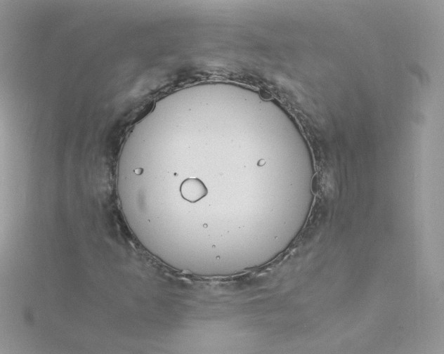 X0000115821253200911271130