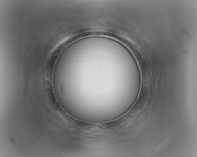 X0000115821255200911271130