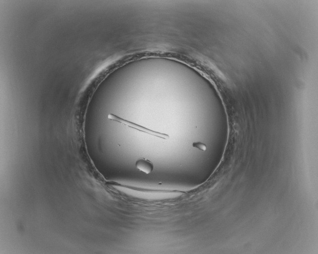 X0000115821256200911271130