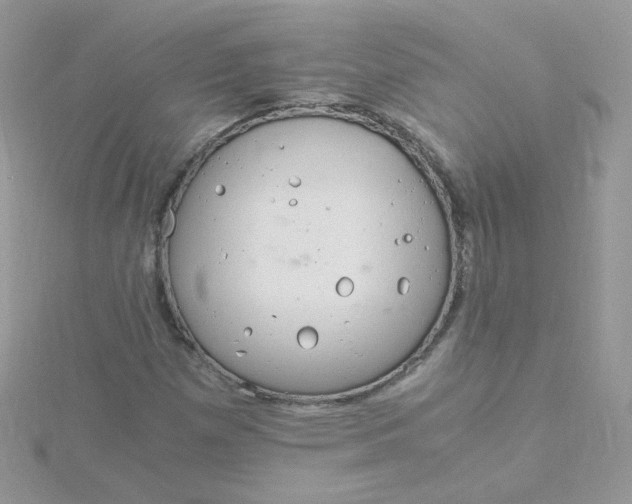 X0000115821257200911271130