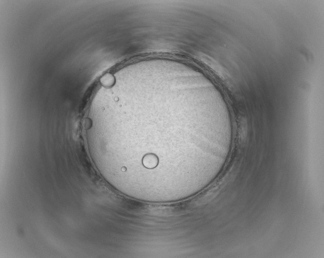 X0000115821258200911271130