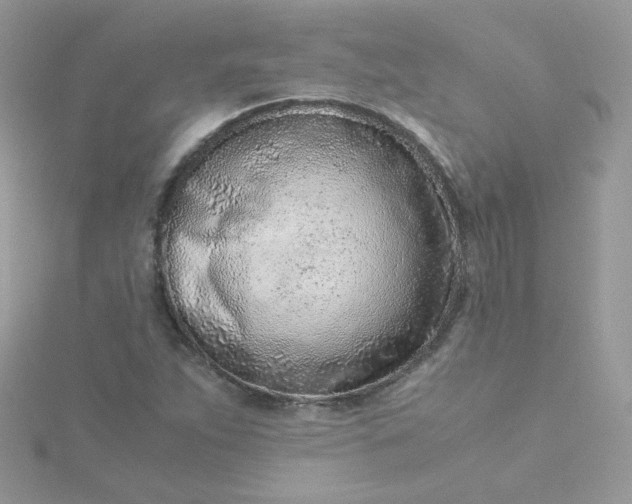 X0000115821263200911271130