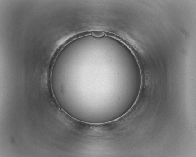 X0000115821264200911271130