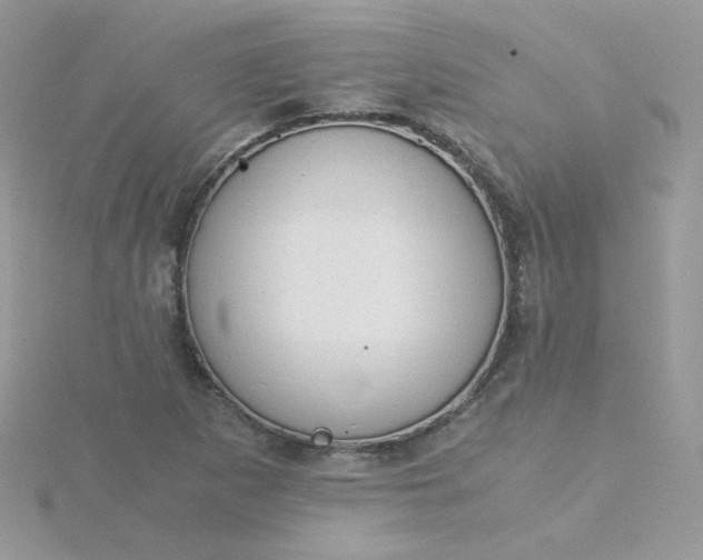 X0000115821265200911271130