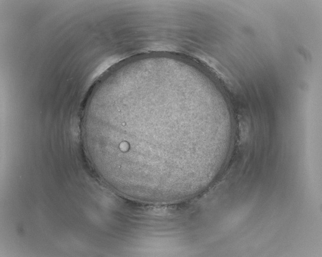 X0000115821266200911271130