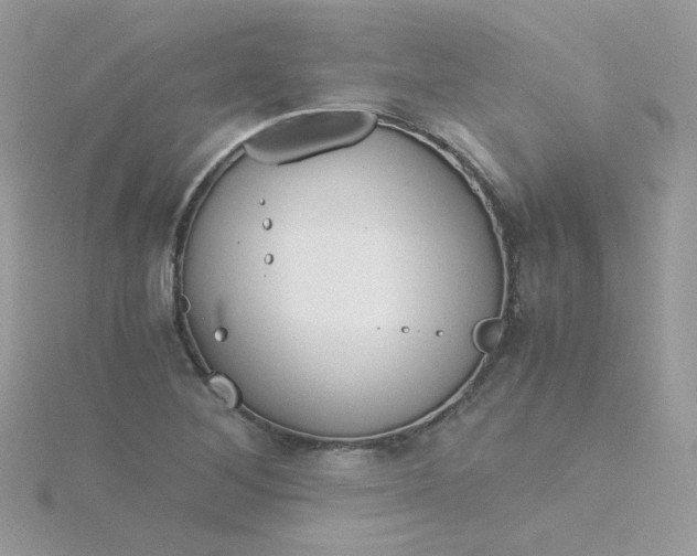 X0000115821268200911271130