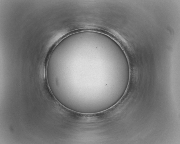 X0000115821269200911271130