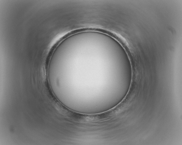 X0000115821271200911271130