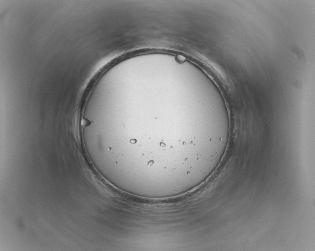 X0000115821272200911271130