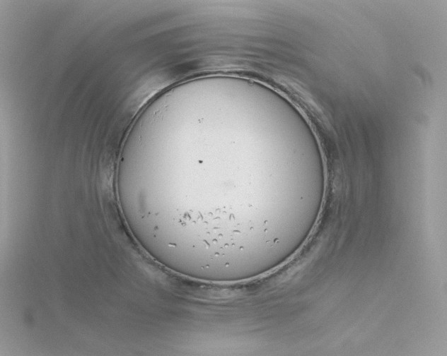 X0000115821273200911271130