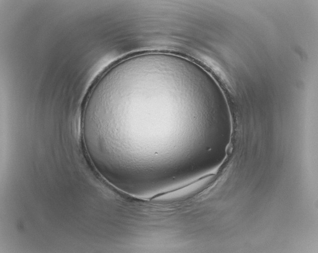 X0000115821275200911271130