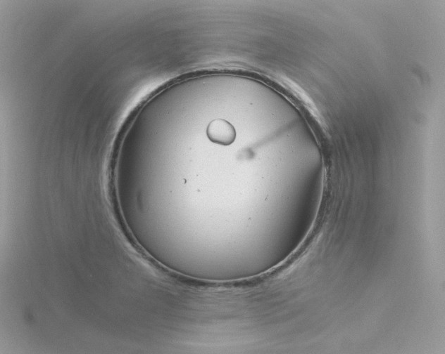 X0000115821277200911271130