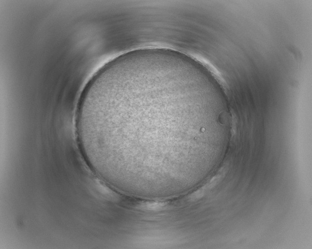 X0000115821278200911271130