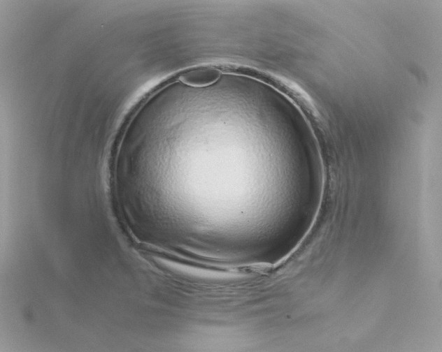 X0000115821279200911271130