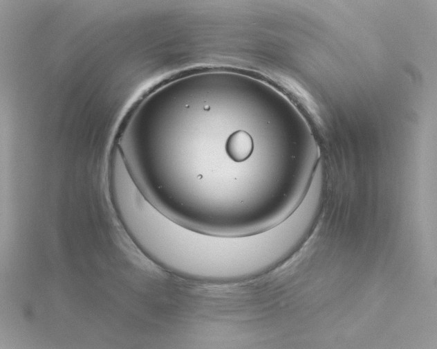 X0000115821280200911271130