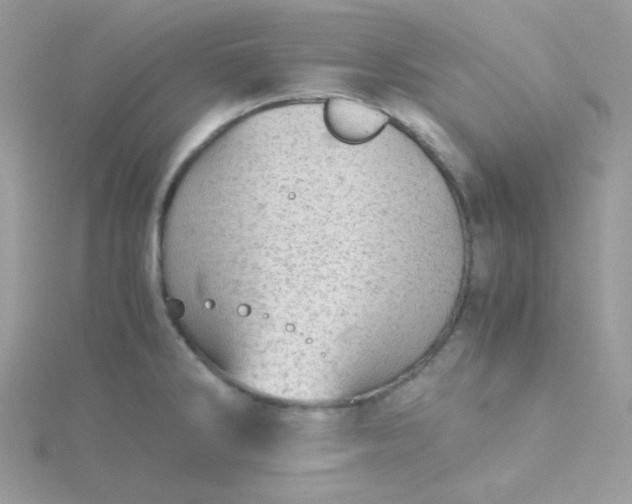 X0000115821286200911271129