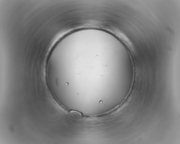 X0000115821288200911271129