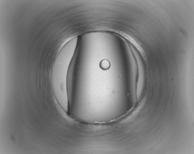 X0000115821289200911271129