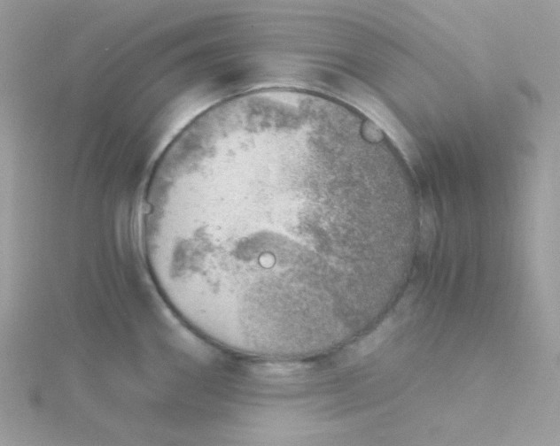 X0000115821290200911271129