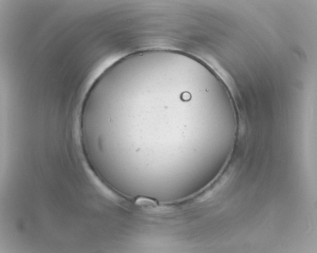 X0000115821293200911271129