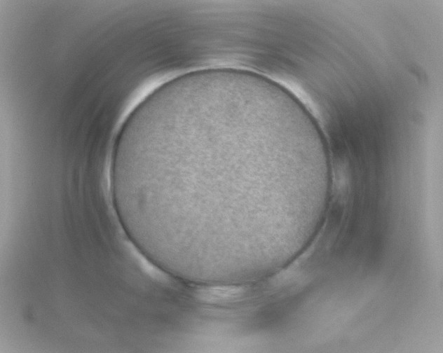 X0000115821294200911271129