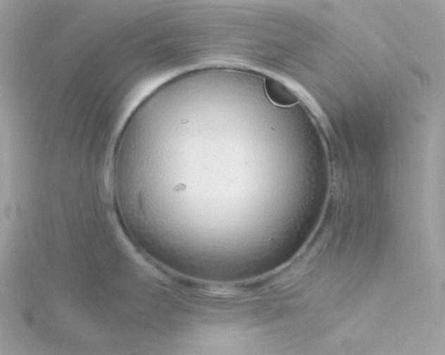 X0000115821295200911271129