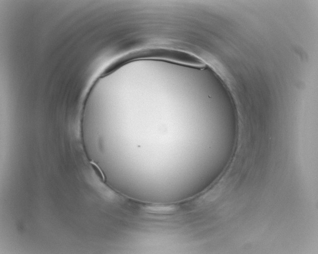 X0000115821296200911271129