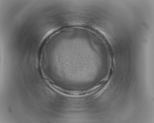 X0000115821306200911271129