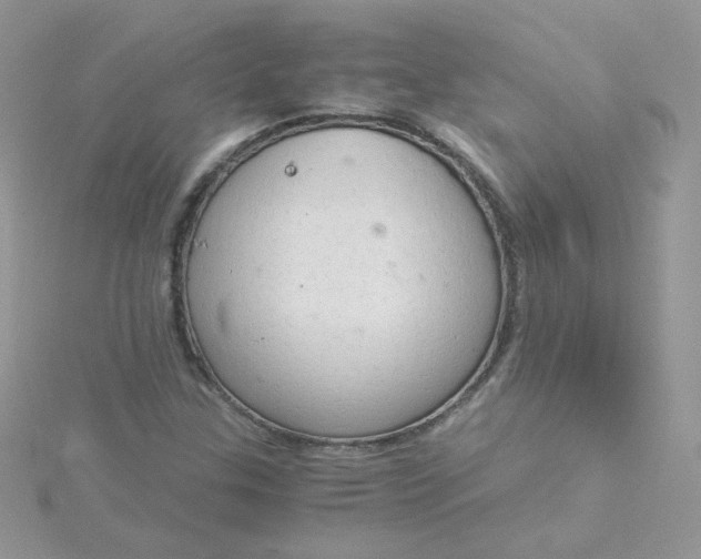 X0000115821307200911271129