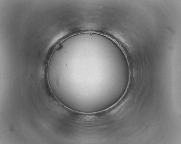 X0000115821309200911271129