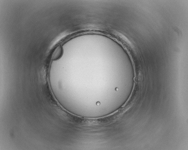 X0000115821310200911271129