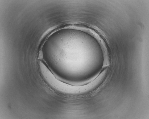 X0000115821314200911271129