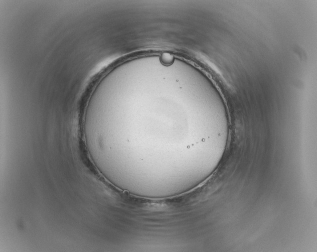 X0000115821315200911271129