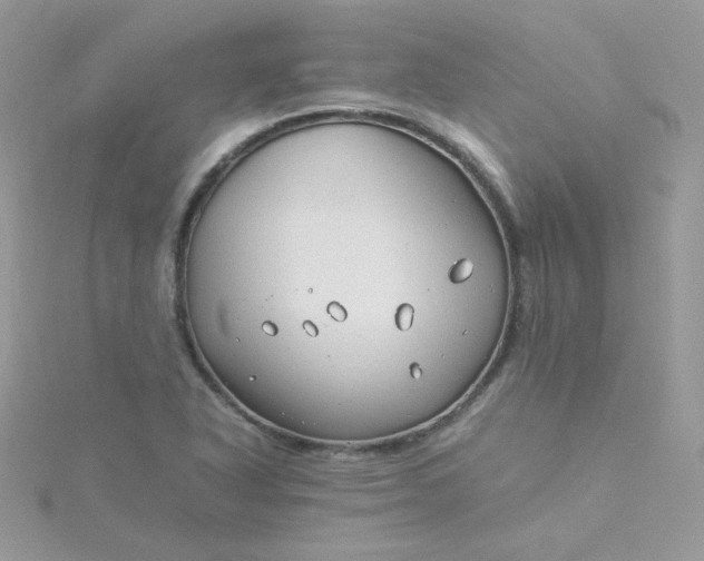 X0000115821318200911271129